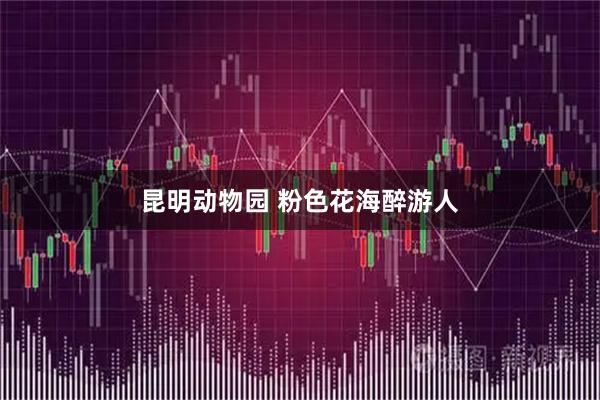 昆明动物园 粉色花海醉游人