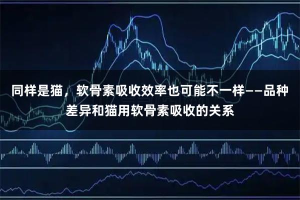 同样是猫，软骨素吸收效率也可能不一样——品种差异和猫用软骨素吸收的关系