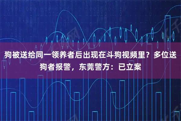 狗被送给同一领养者后出现在斗狗视频里？多位送狗者报警，东莞警方：已立案