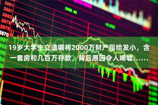 19岁大学生立遗嘱将2000万财产留给发小，含一套房和几百万存款，背后原因令人唏嘘……