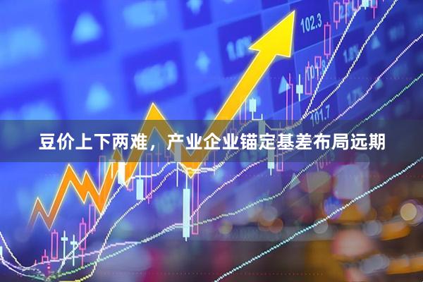 豆价上下两难，产业企业锚定基差布局远期
